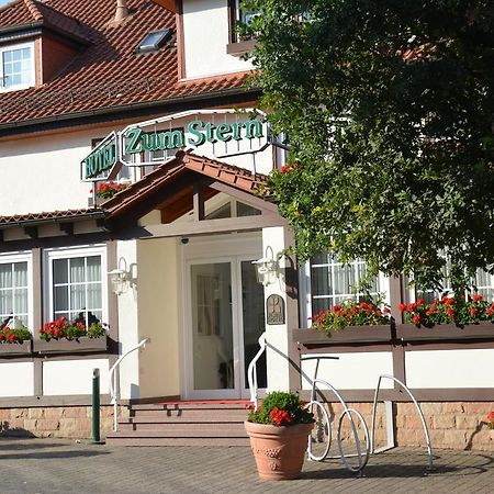 Parkhotel Zum Stern Oberaula Eksteriør bilde