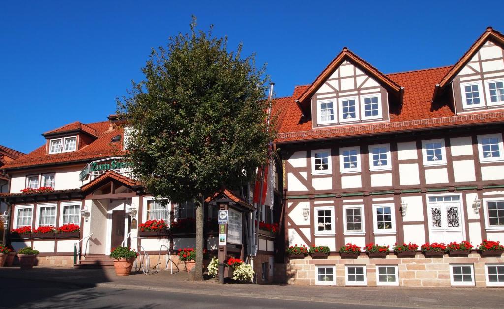 Parkhotel Zum Stern Oberaula Eksteriør bilde