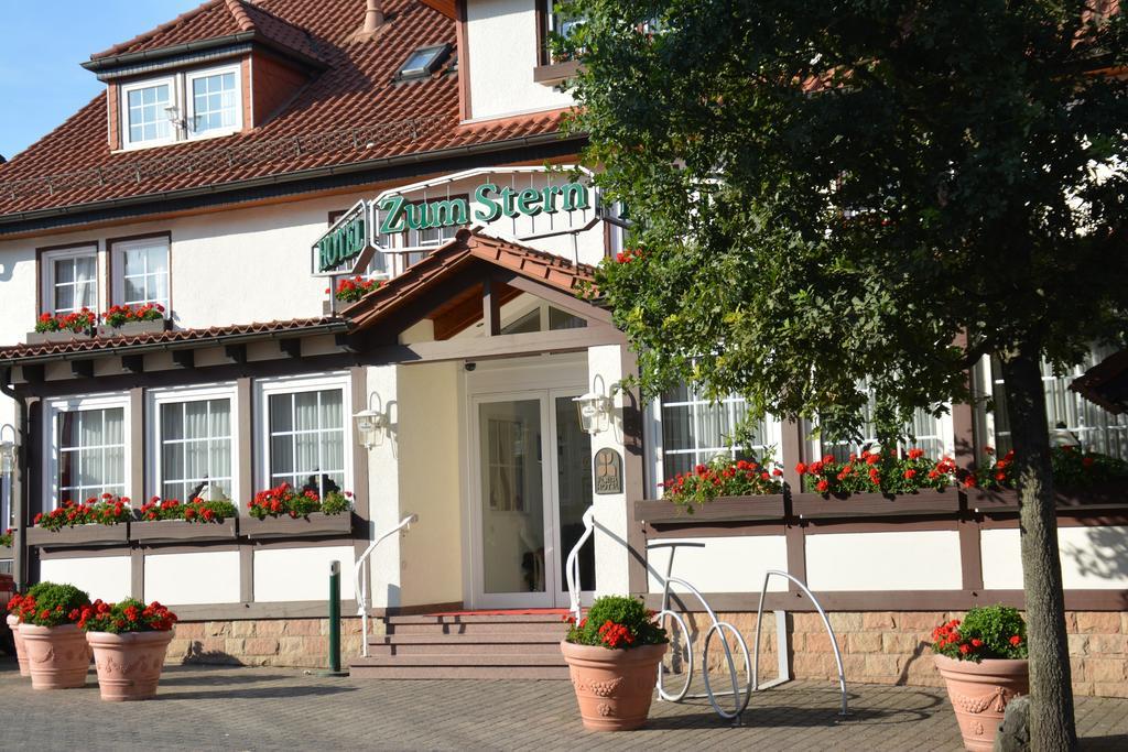 Parkhotel Zum Stern Oberaula Eksteriør bilde
